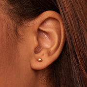 Have a ball studs | White Gold